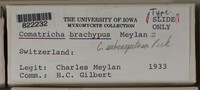 Image Associated With the Occurence